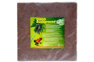 Coco background 100 x 50 cm